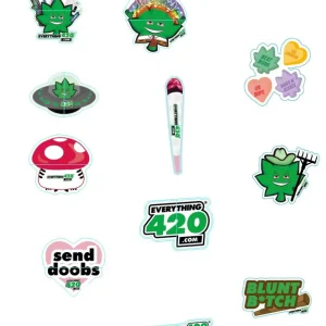 E420 Random Sticker Pack - 2ct