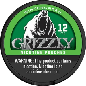 Grizzly Wintergreen Nicotine Pouches (5 Pack)