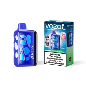 Hawaiian Pineapple Paradise - Vozol Rave 50000 Disposable