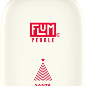 Santa (Christmas Edition) Flum Pebble
